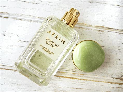 aerin gardenia rattan collection.